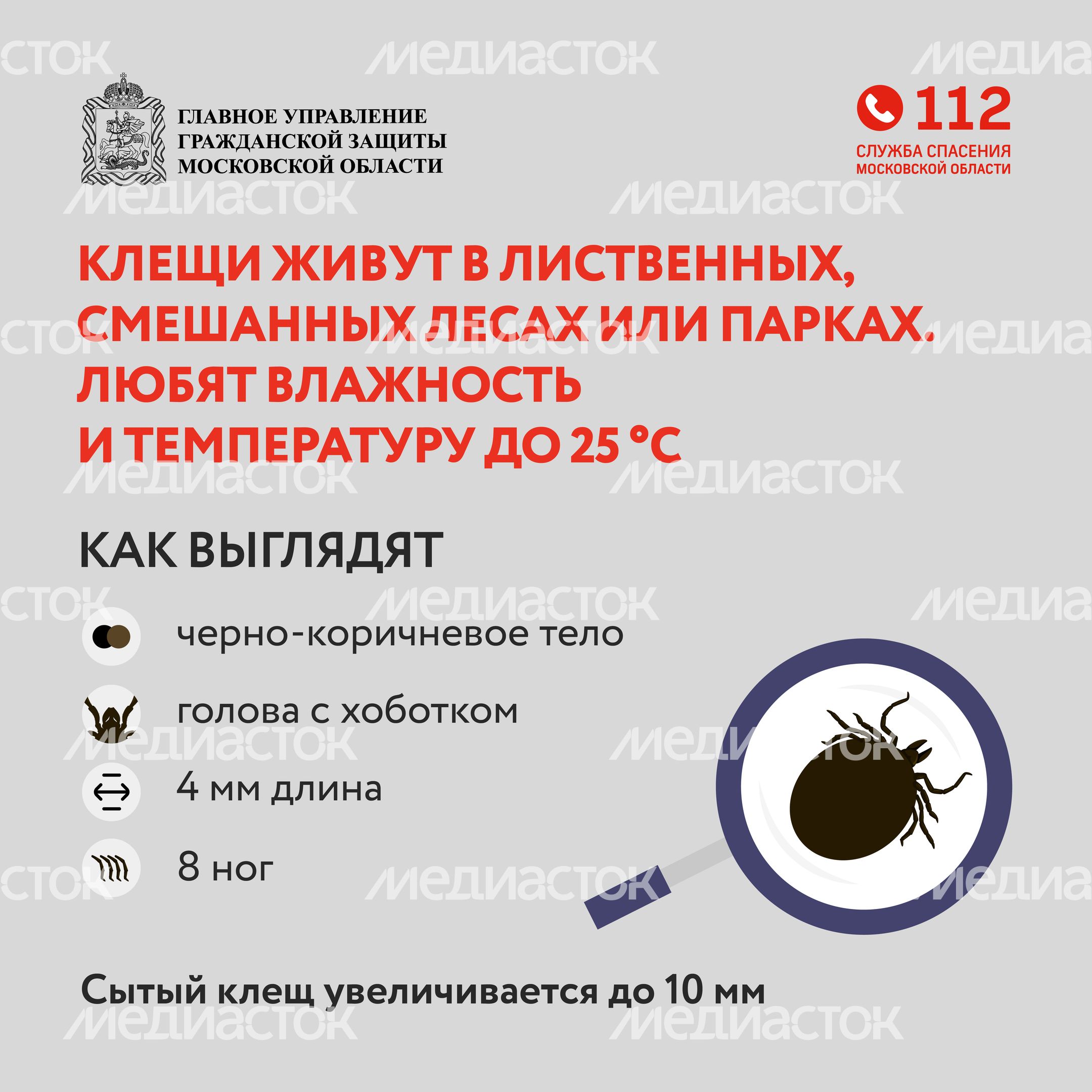 клещи_квадрат_03