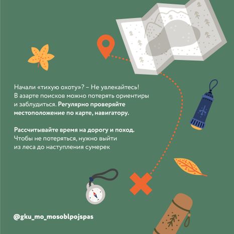 Квадрат грибы 06.jpg