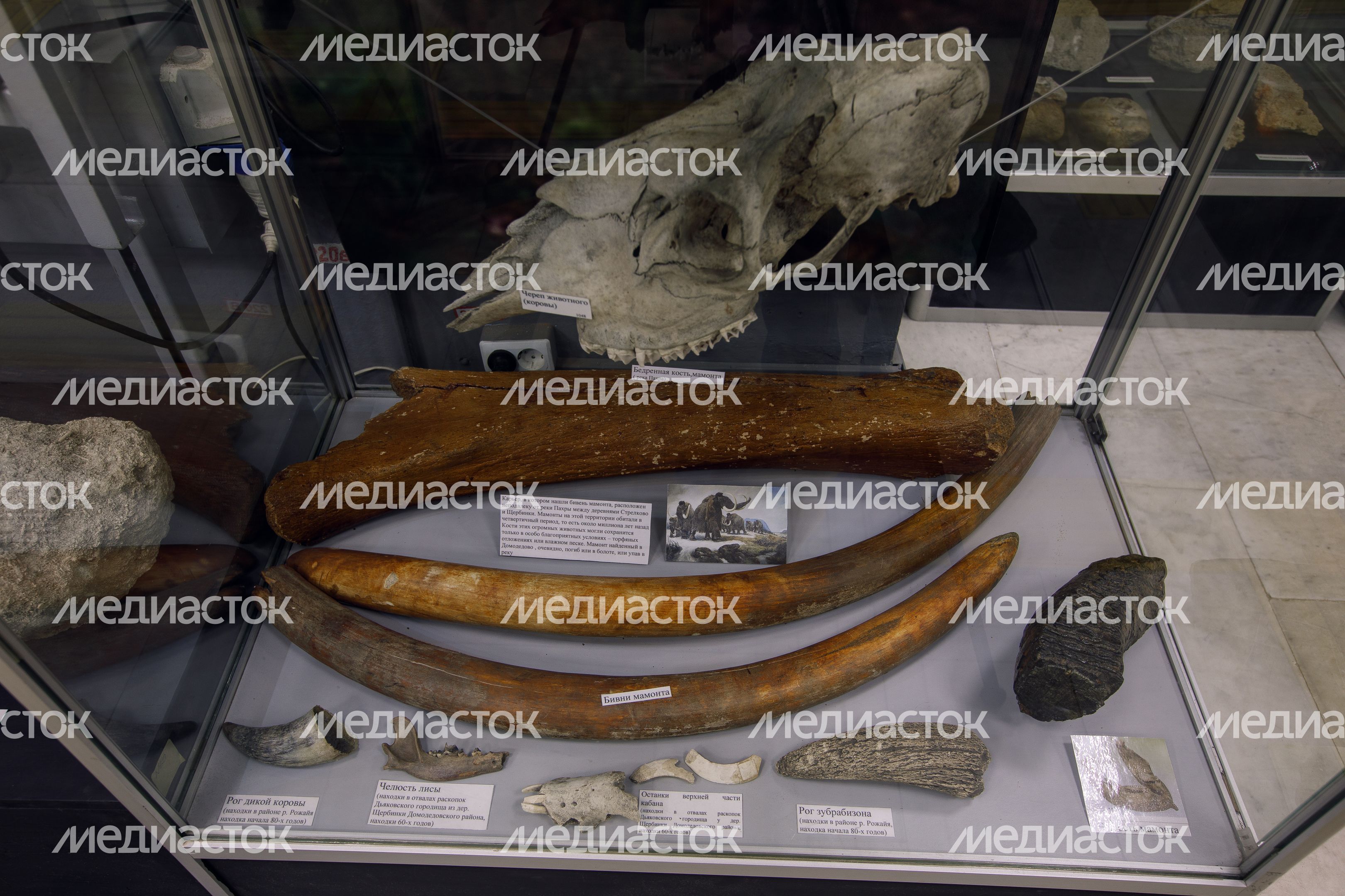 Историко-художественный музей в Домодедово Историко-художественный музей в Домодедово