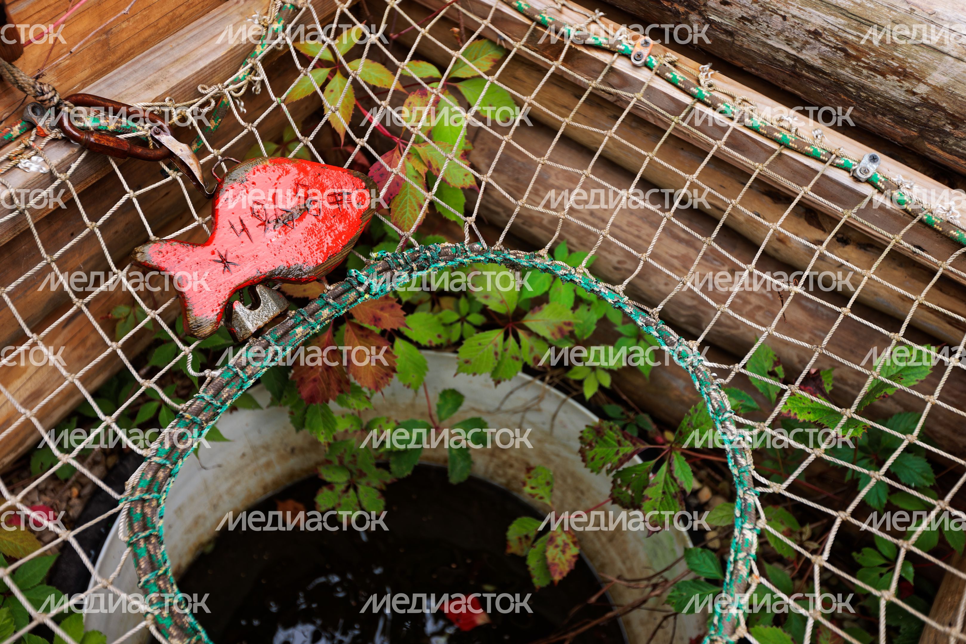 Парк приключений «Дикие белки» в округе Чехов Парк приключений «Дикие белки» в округе Чехов