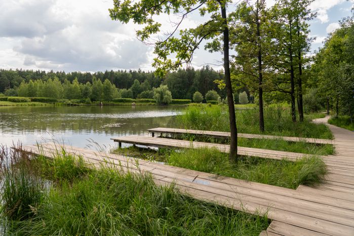 Мещерский парк летом