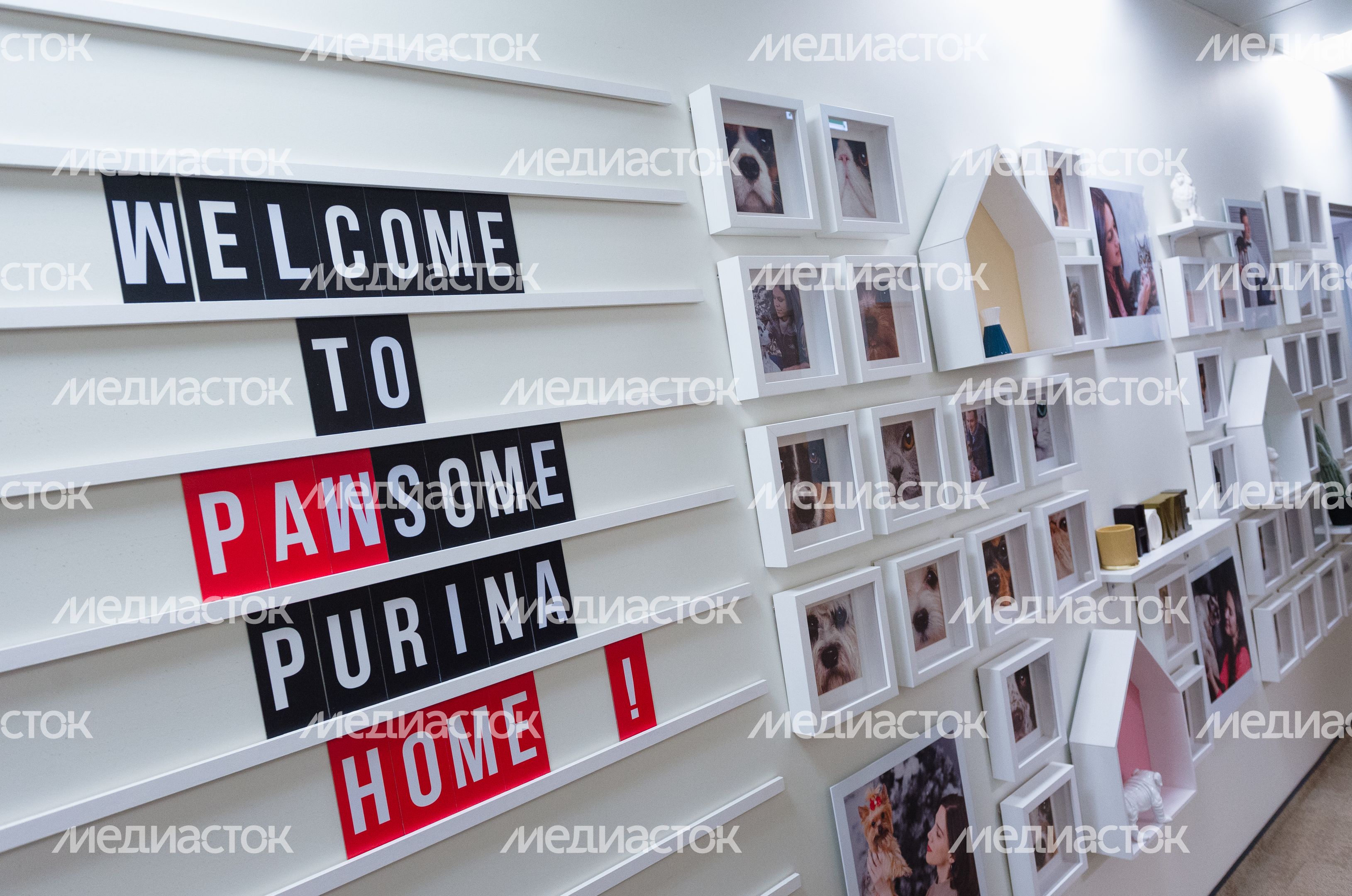 Pet‑friendly офис Purina