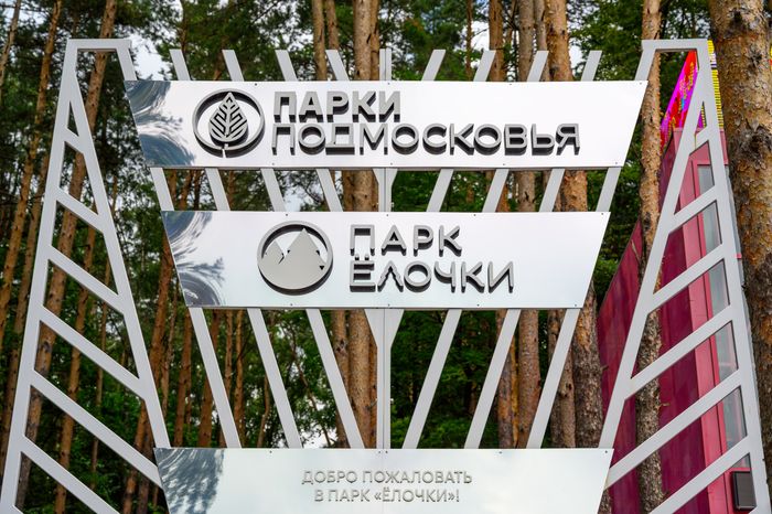 Лето в парке «Елочки» Домодедово