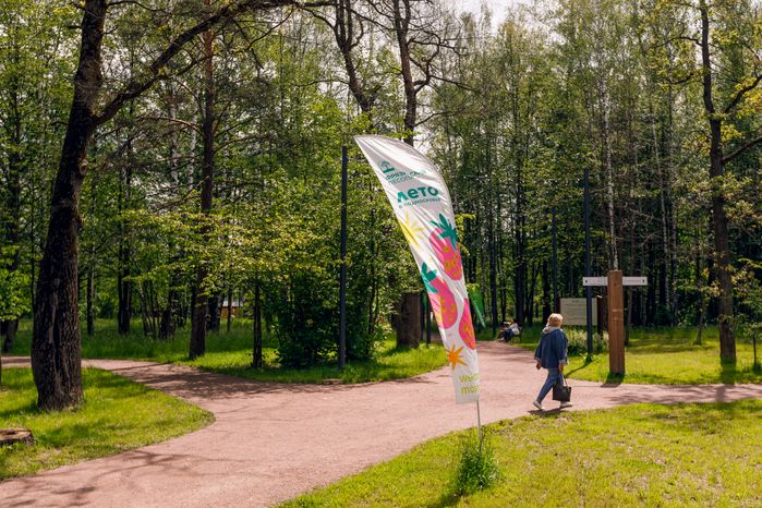 Фрязинский лесопарк летом