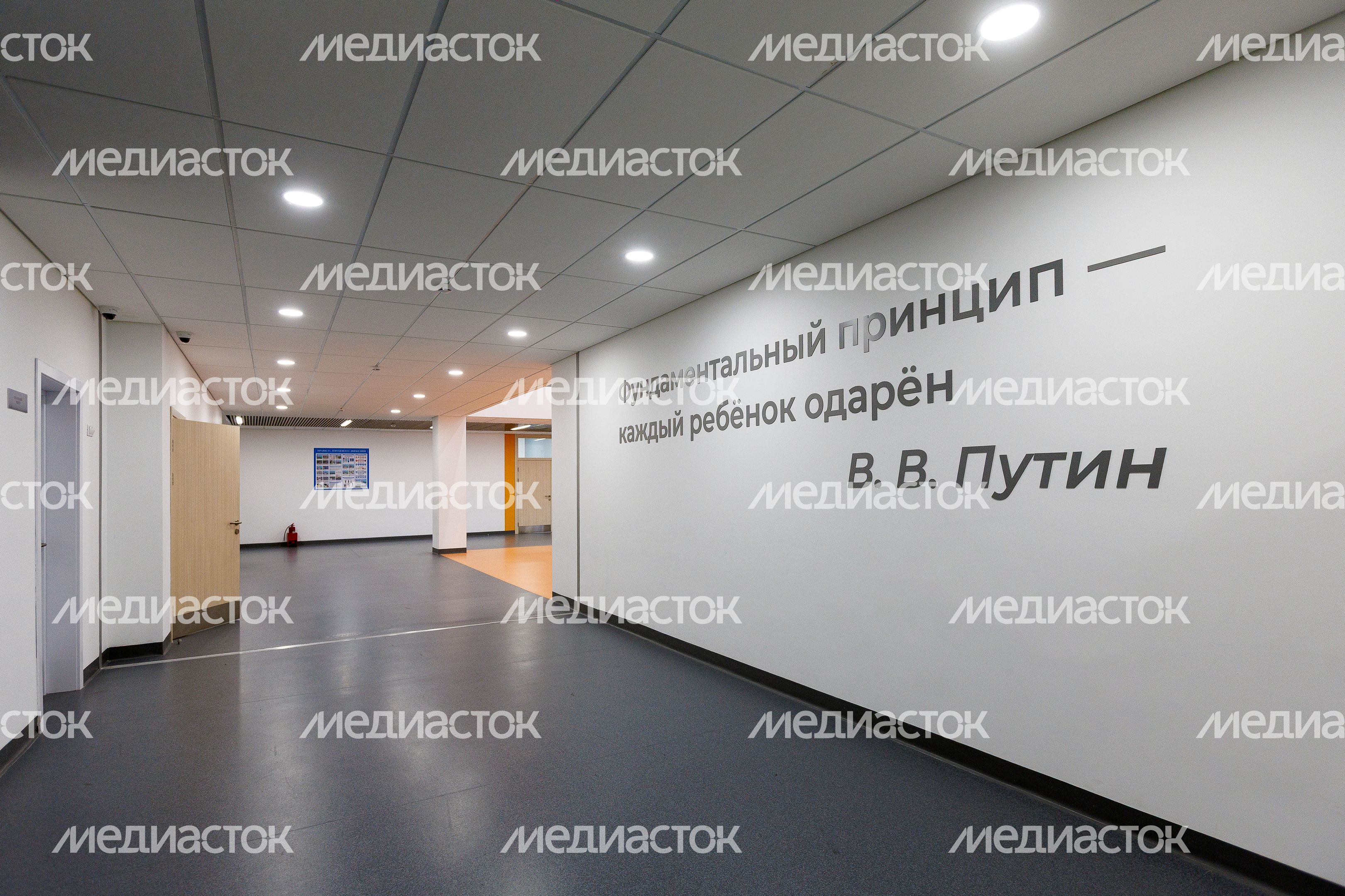 Цитата В.В. Путина на стене новой школы в ЖК «Новое Пушкино»