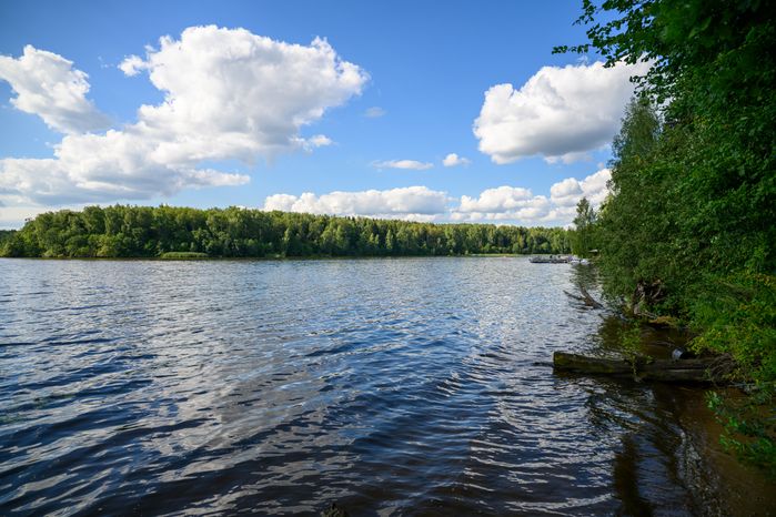 Глэмпинг "Под небом" в Пушкинском городском округе