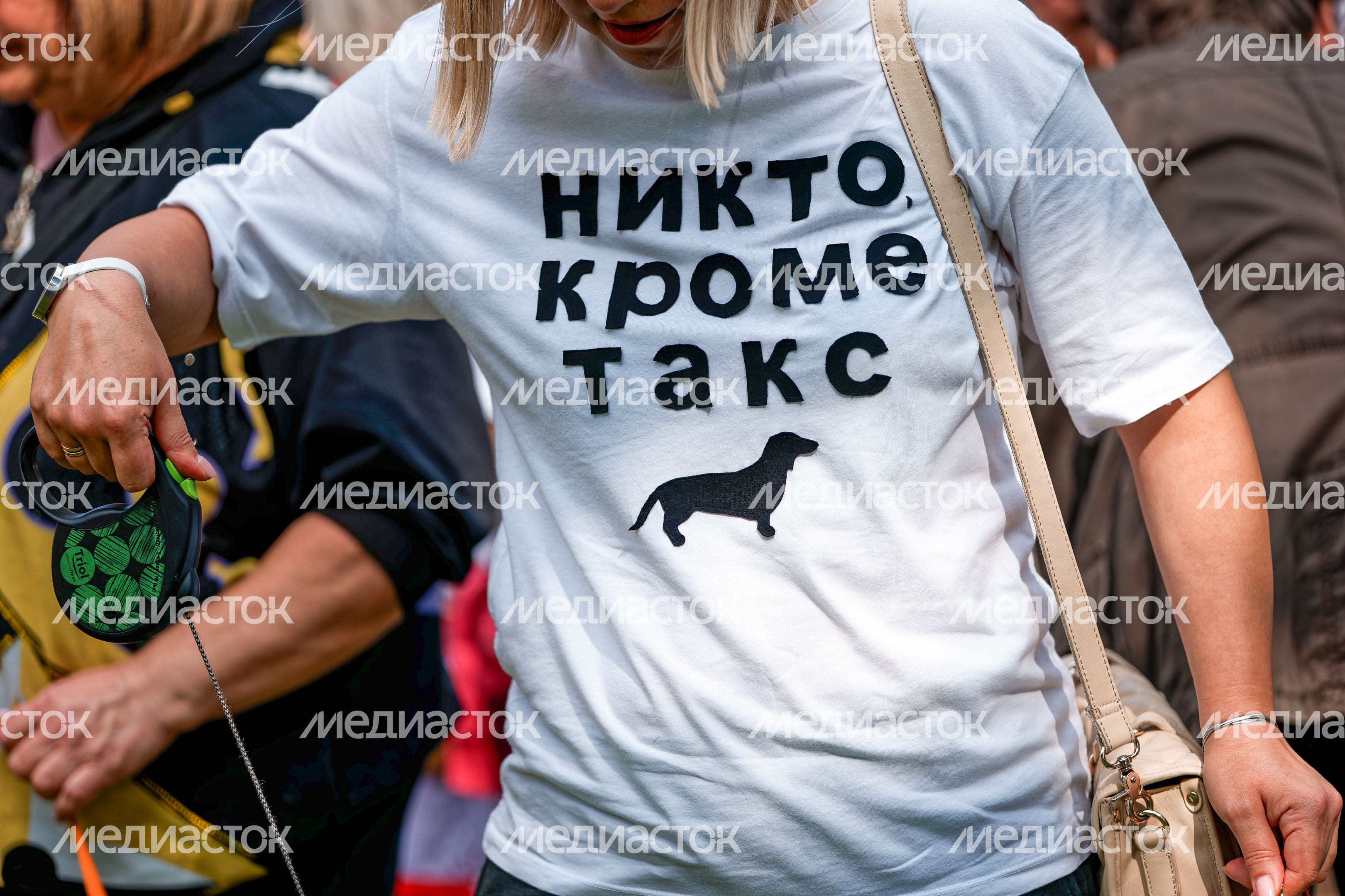Фестиваль «Таксы Чехова» в Мелихово округа Чехов Фестиваль «Таксы Чехова» в Мелихово округа Чехов