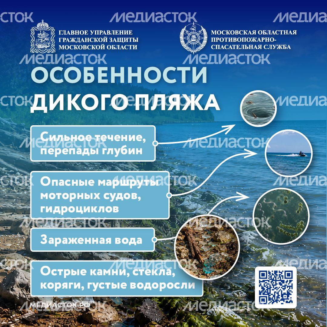 Особенности диких пляжей 2026 Квадрат 01 Особенности диких пляжей 2026 Квадрат 01