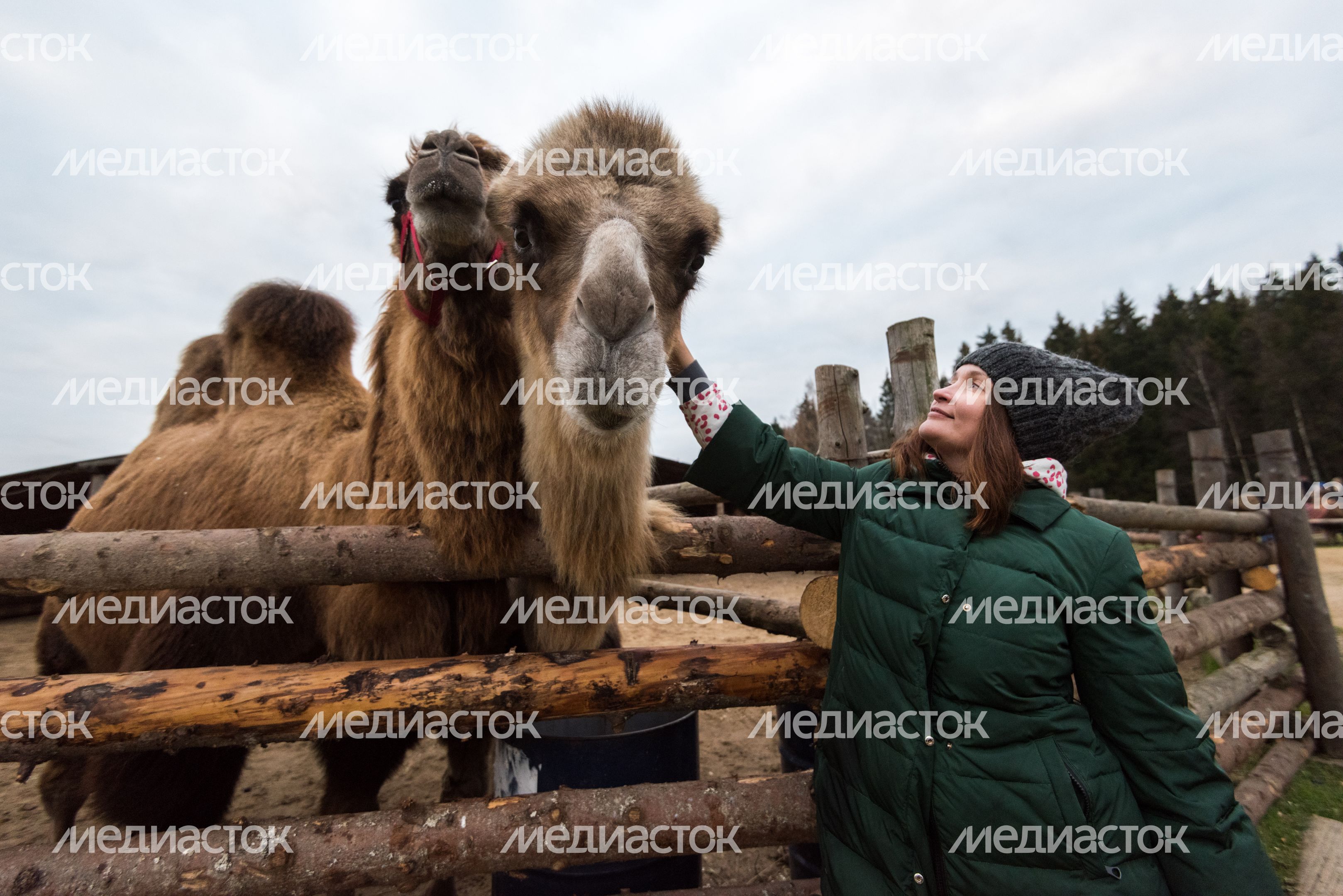 Этнопарк «Кочевник»