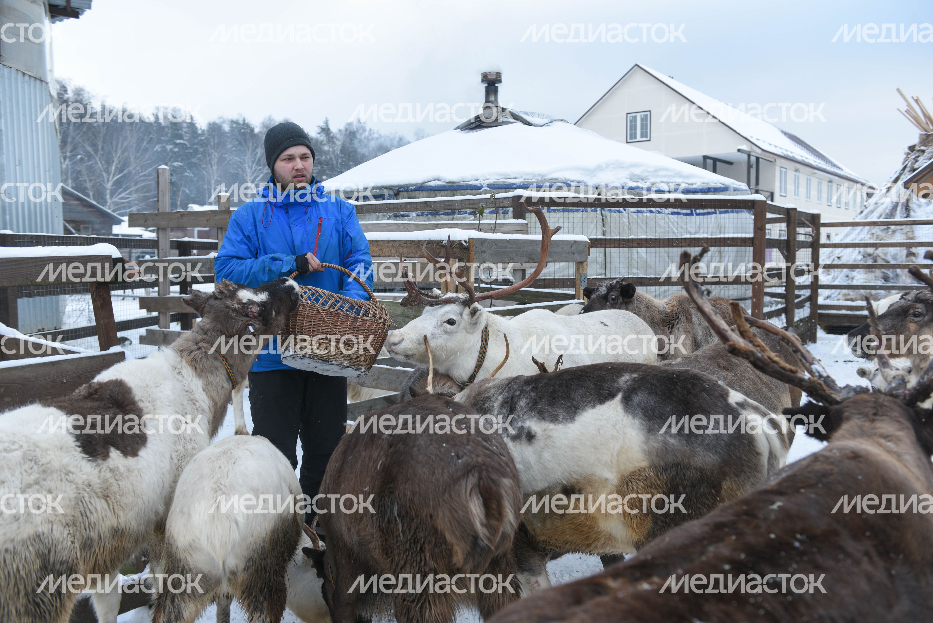 Оленья ферма в Дзержинском
