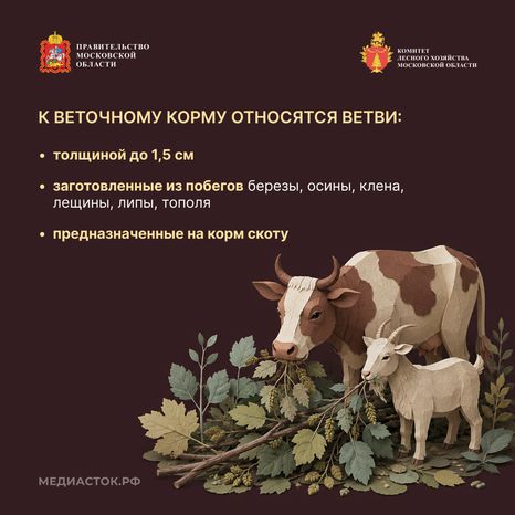 Недревесные ресурсы для собственных нужд Квадрат 08