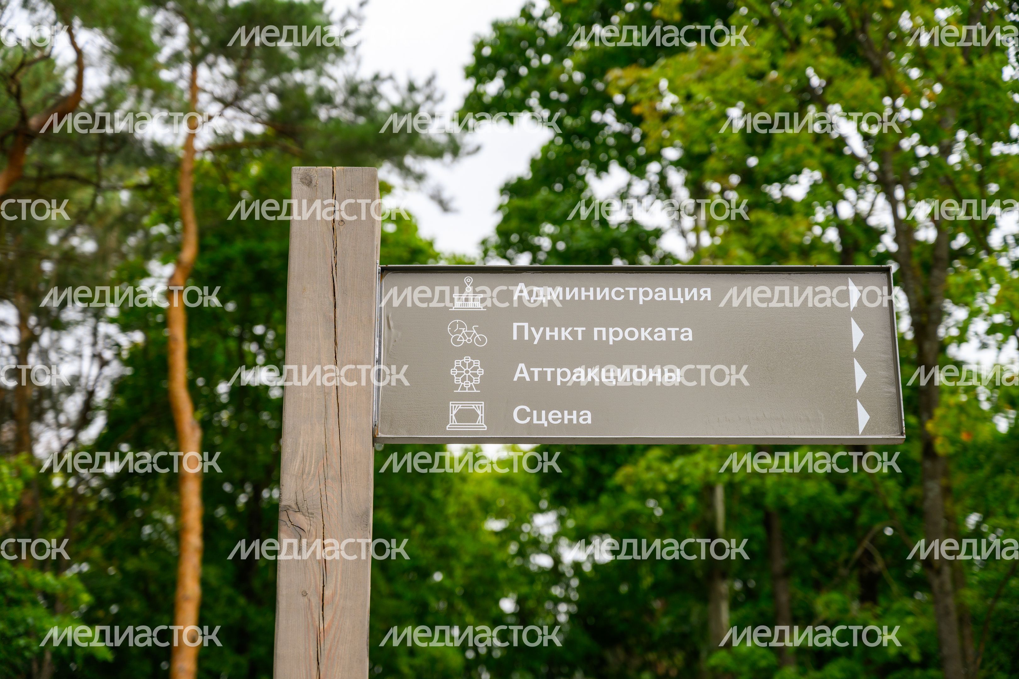 Центральный парк культуры и отдыха Жуковского летом