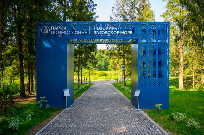 Лесопарк «Загорское море» летом в Сергиевом Посаде