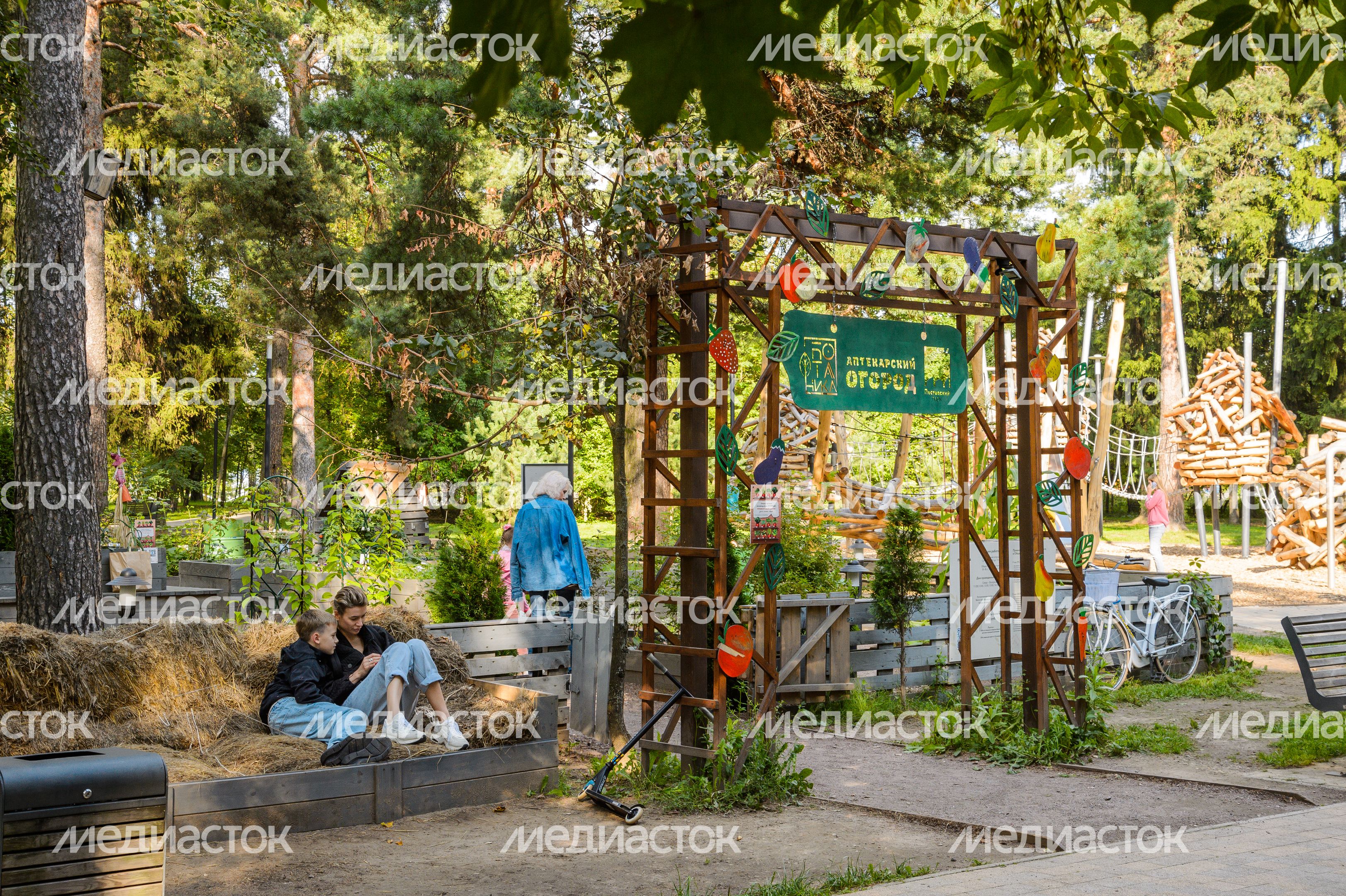 Балашиха. Пестовский парк Балашиха. Пестовский парк