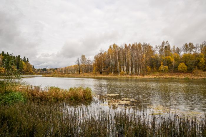Осень в Абрамцево