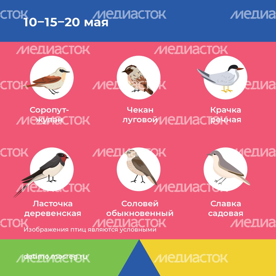 весна летит - квадрат - 09