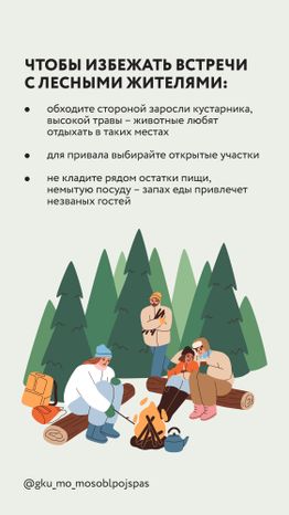 Вертикаль Безопасность в лесу 06.jpg