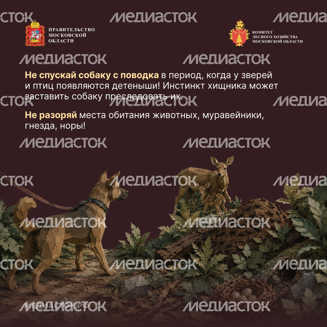 Пребывание граждан в лесах квадрат 07