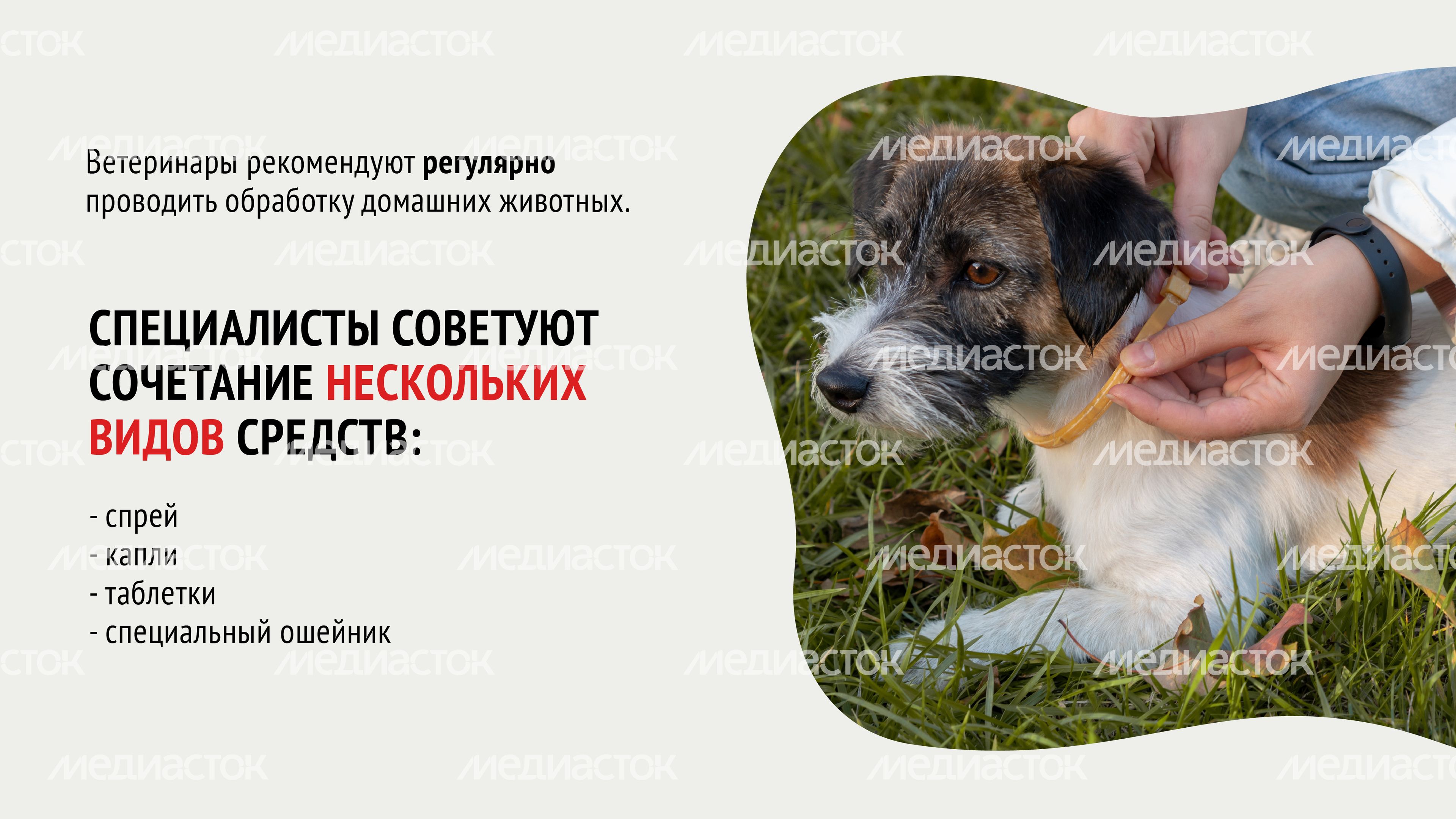 Клещи-07.jpg