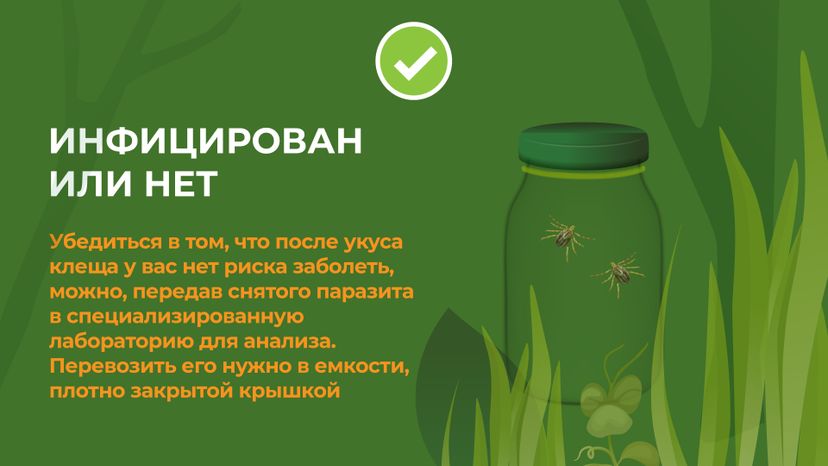 комлесхоз_клещи_гор_9