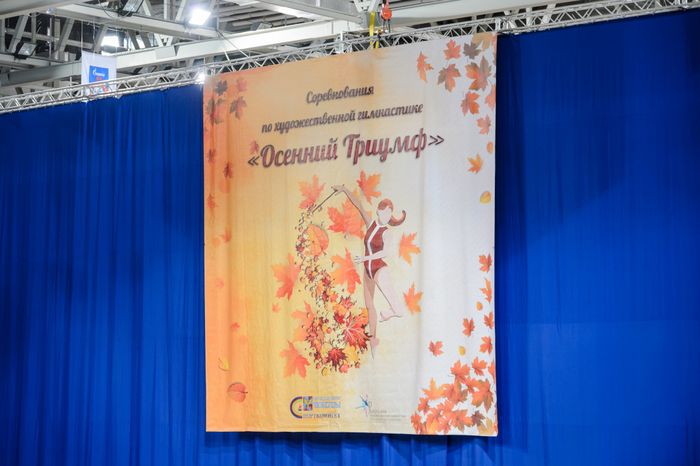 Люберцы. Соревнования по художественной гимнастике