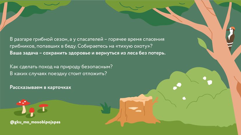 Горизонталь грибы 02.jpg