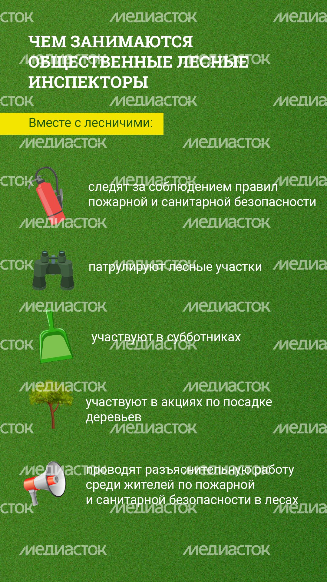 Как стать общественным лесным инспектором