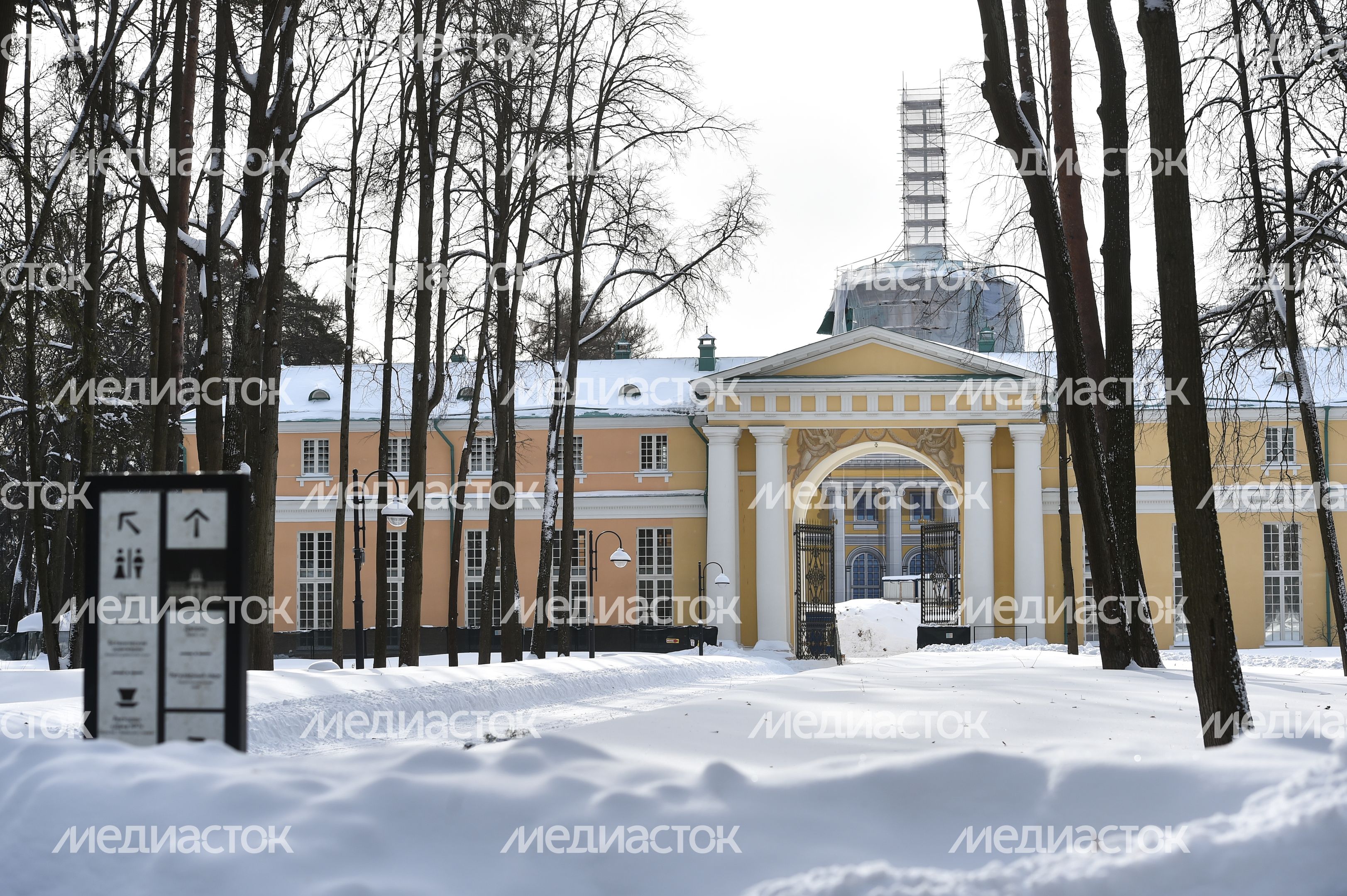 Подготовка к лыжной гонке в музее-усадьбе «Архангельское»