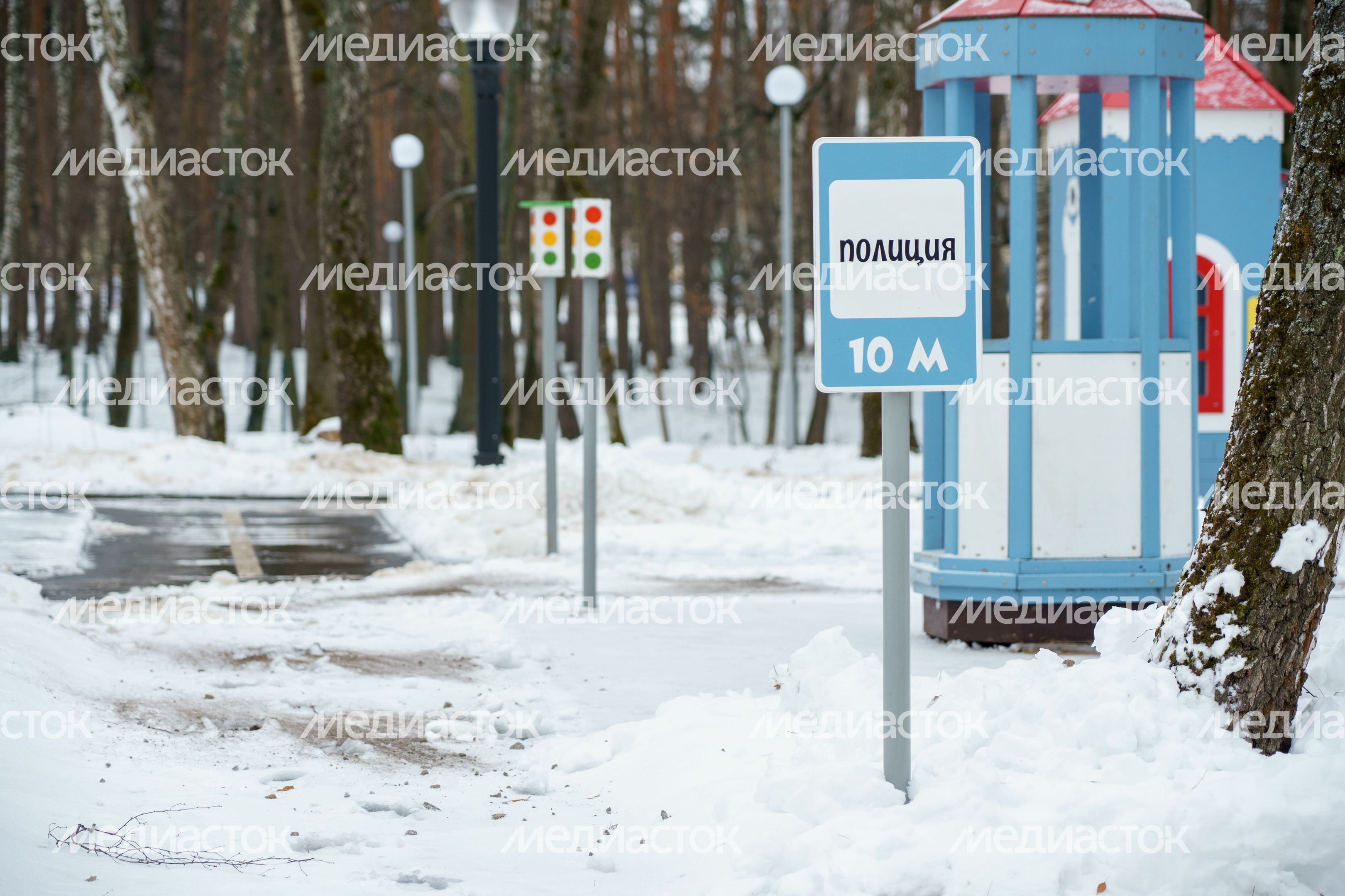 Кашира. Городской парк. Зима