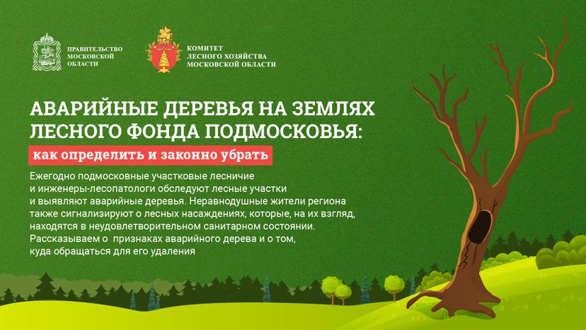 Аварийные деревья