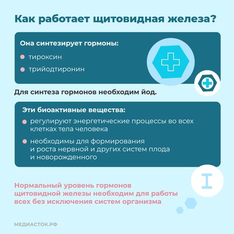 щитовидная железа семь вопросов квадрат 03