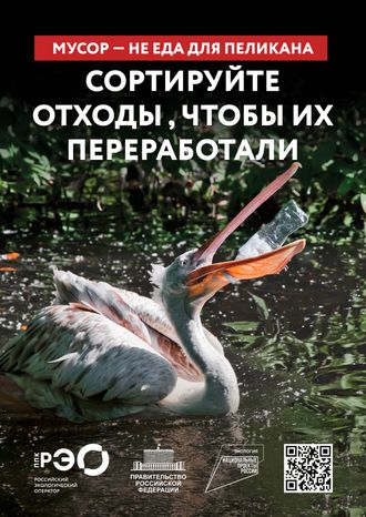 Seria 9 animal poster _A2_5