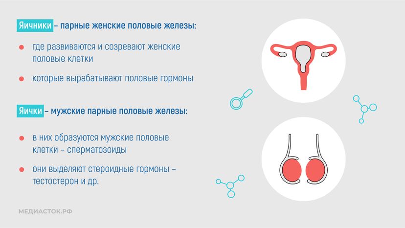 Эндокринные заболевания у наркозависимых горизонталь 07
