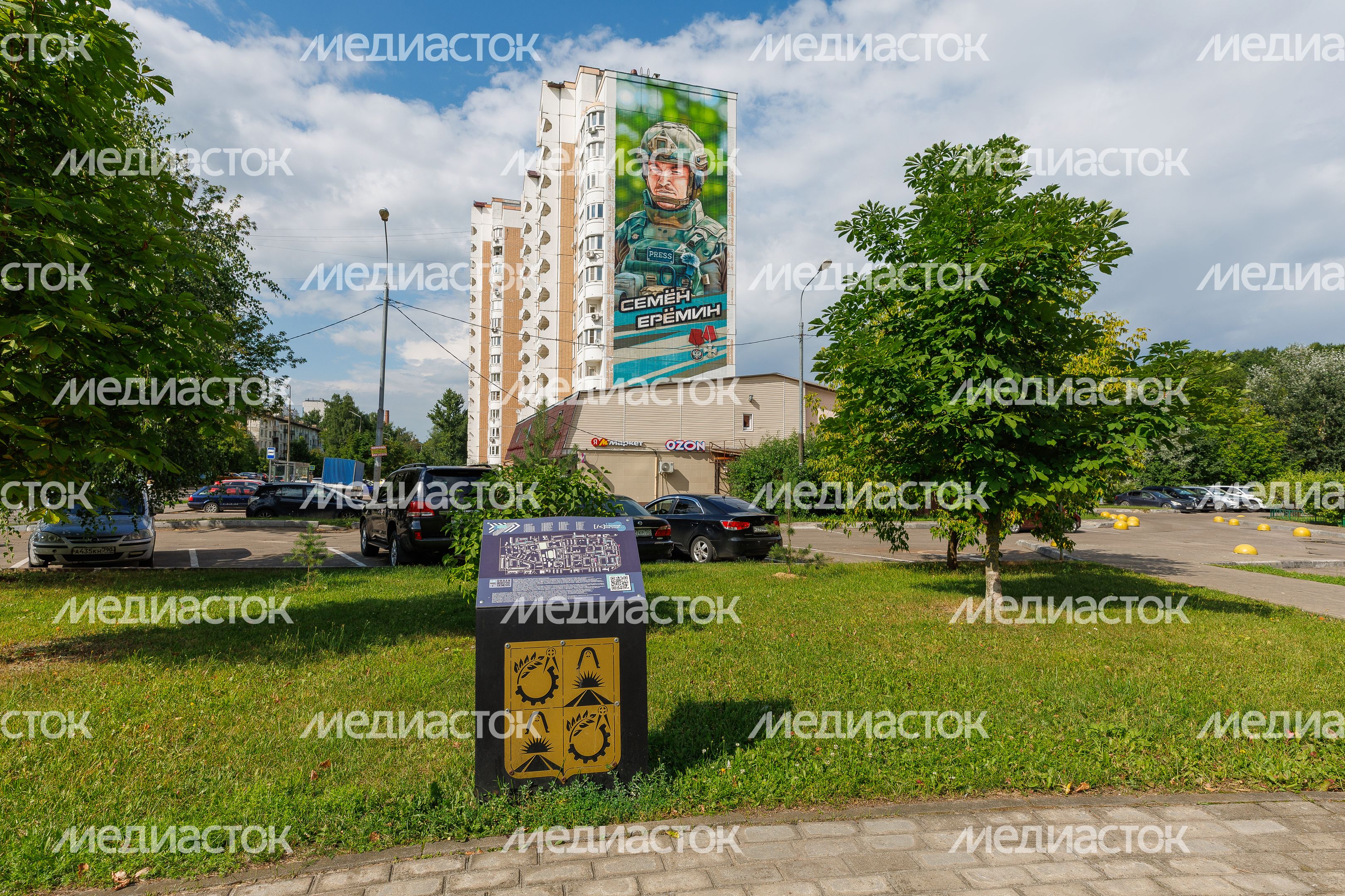 Муралы в Железнодорожном, Балашиха