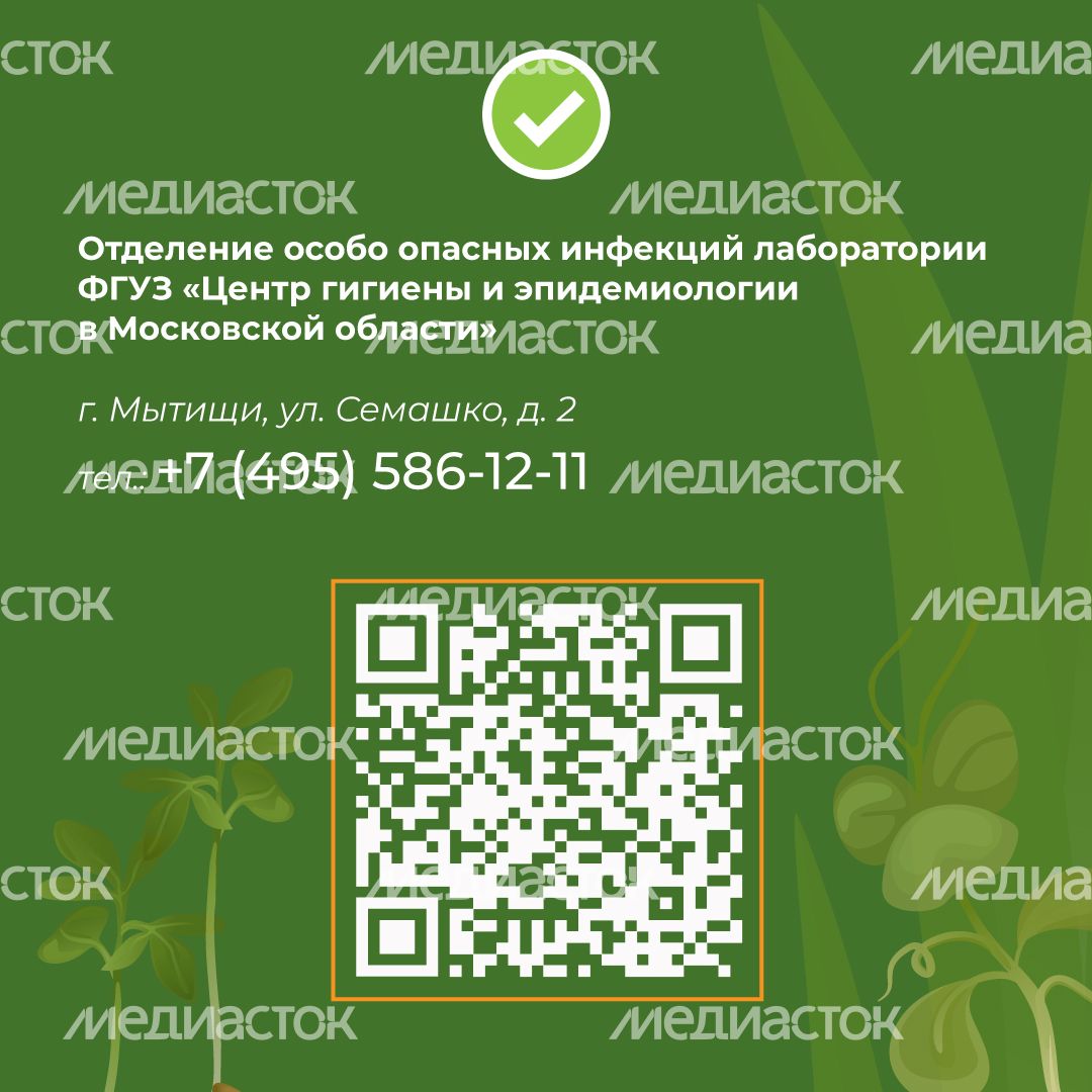 комлесхоз_клещи_кв_9