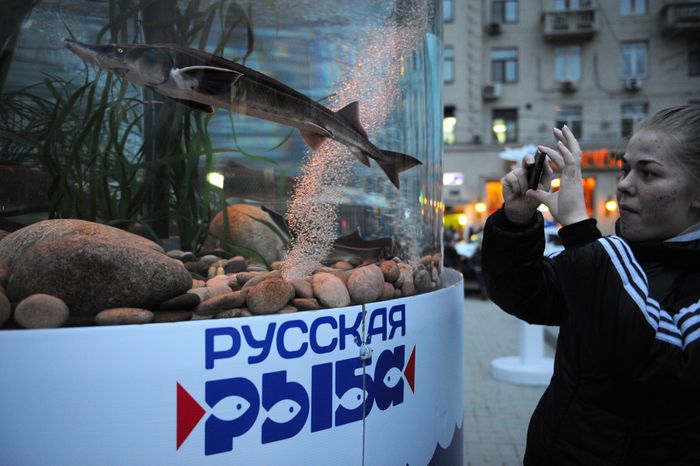 Всероссийский фестиваль «Рыбная неделя» в Москве