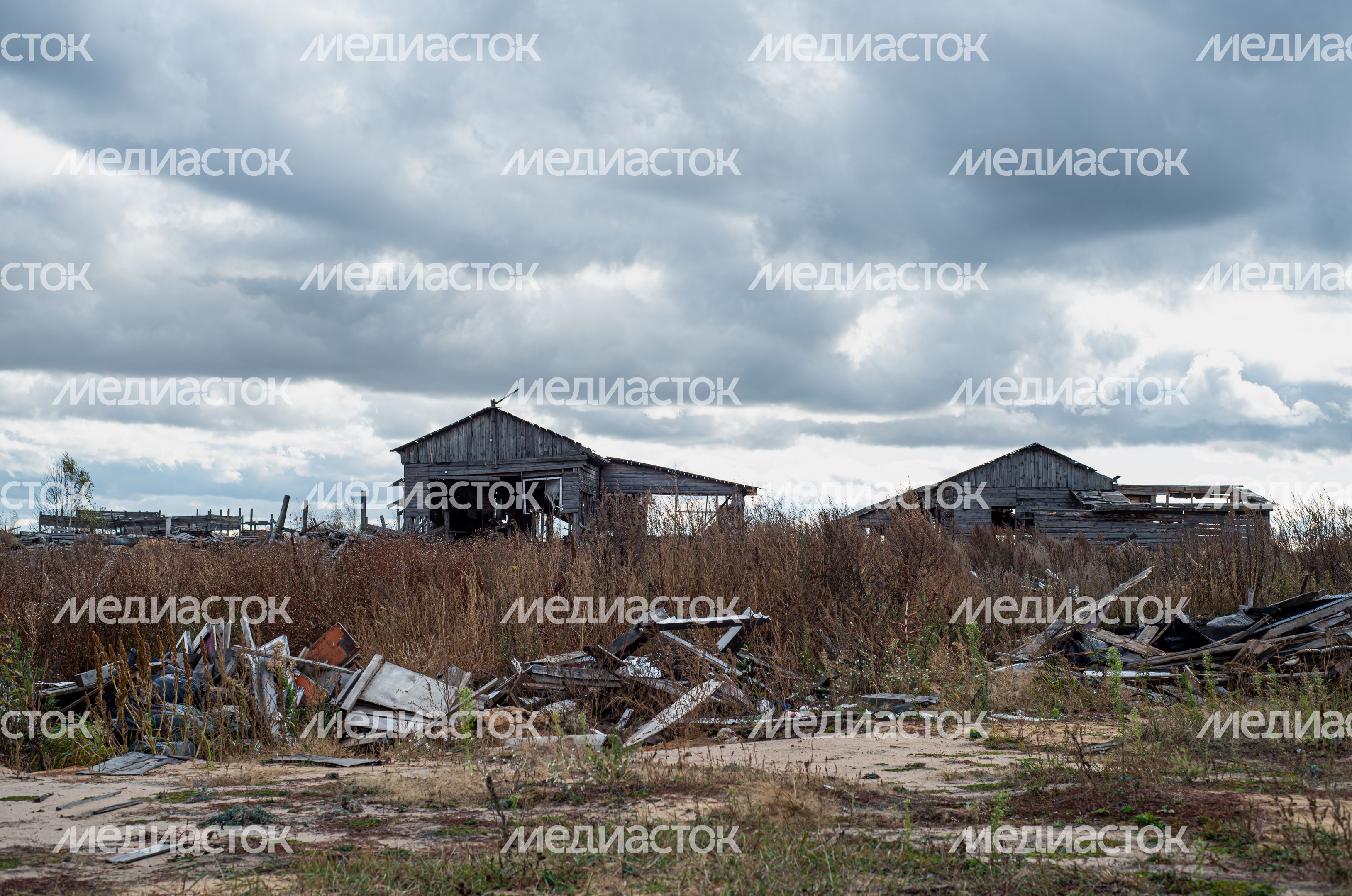 Заброшенная деревня Моховое