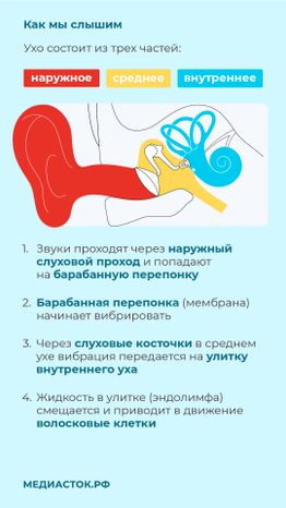 Могут ли наушники привести к тугоухости вертикаль 03