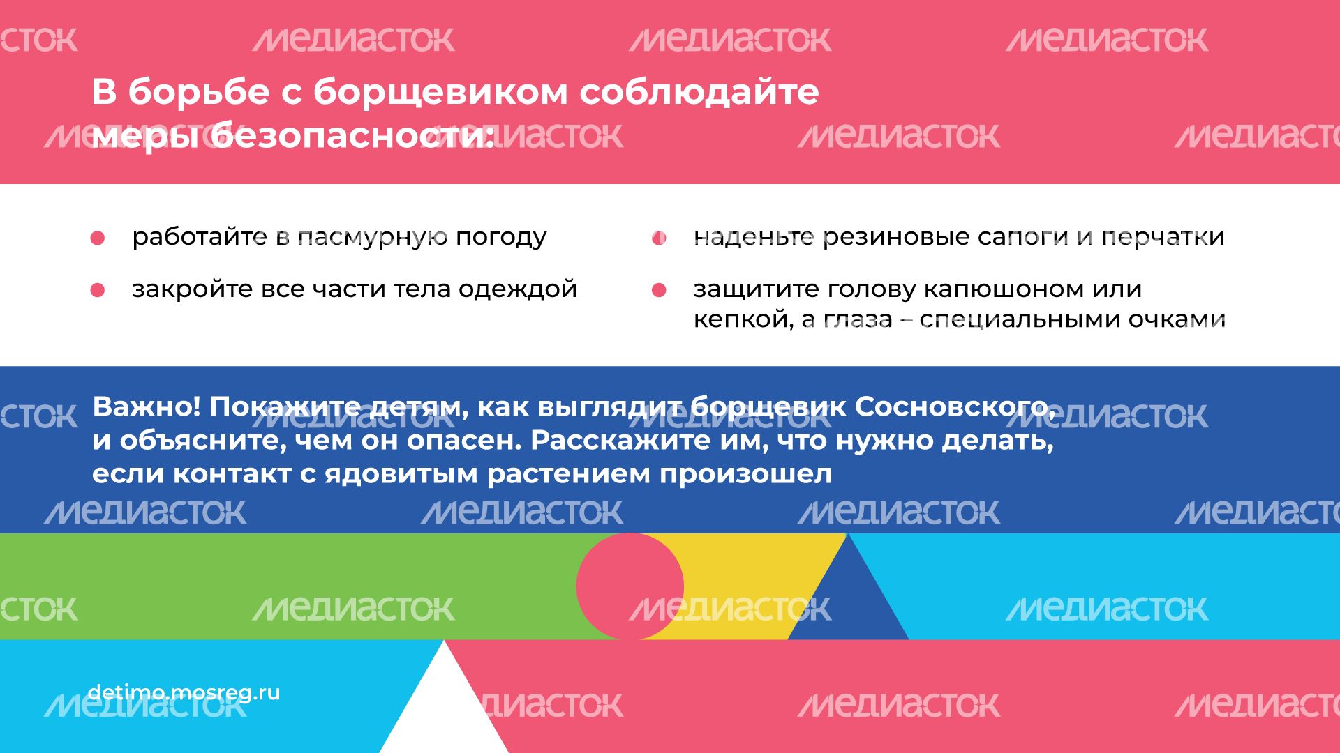 Горизонталь_Борщевик Сосновского_10.png