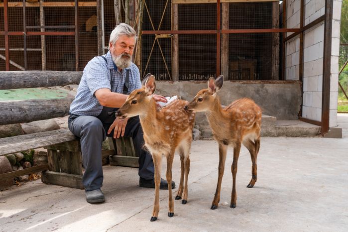 Оленья ферма ZooОleni в Рузском округе летом