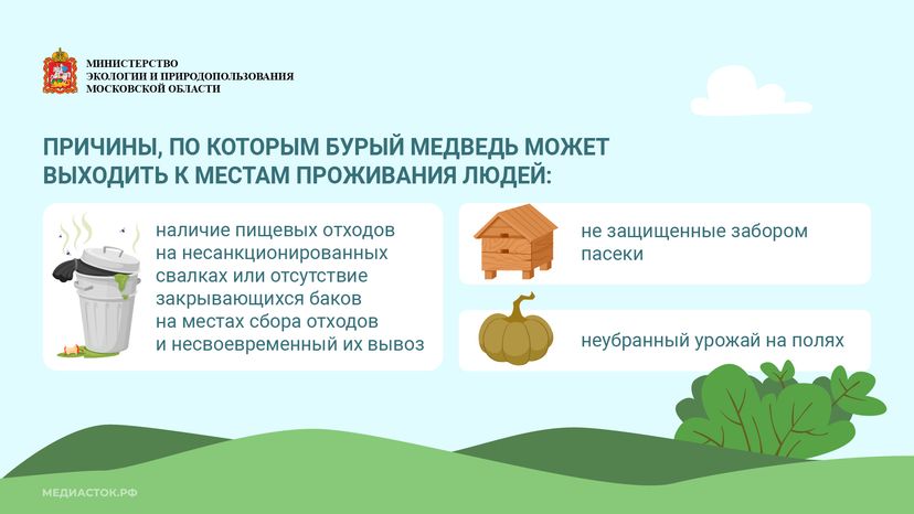 Медведь – сосед, которого нужно знать_горизонталь 06