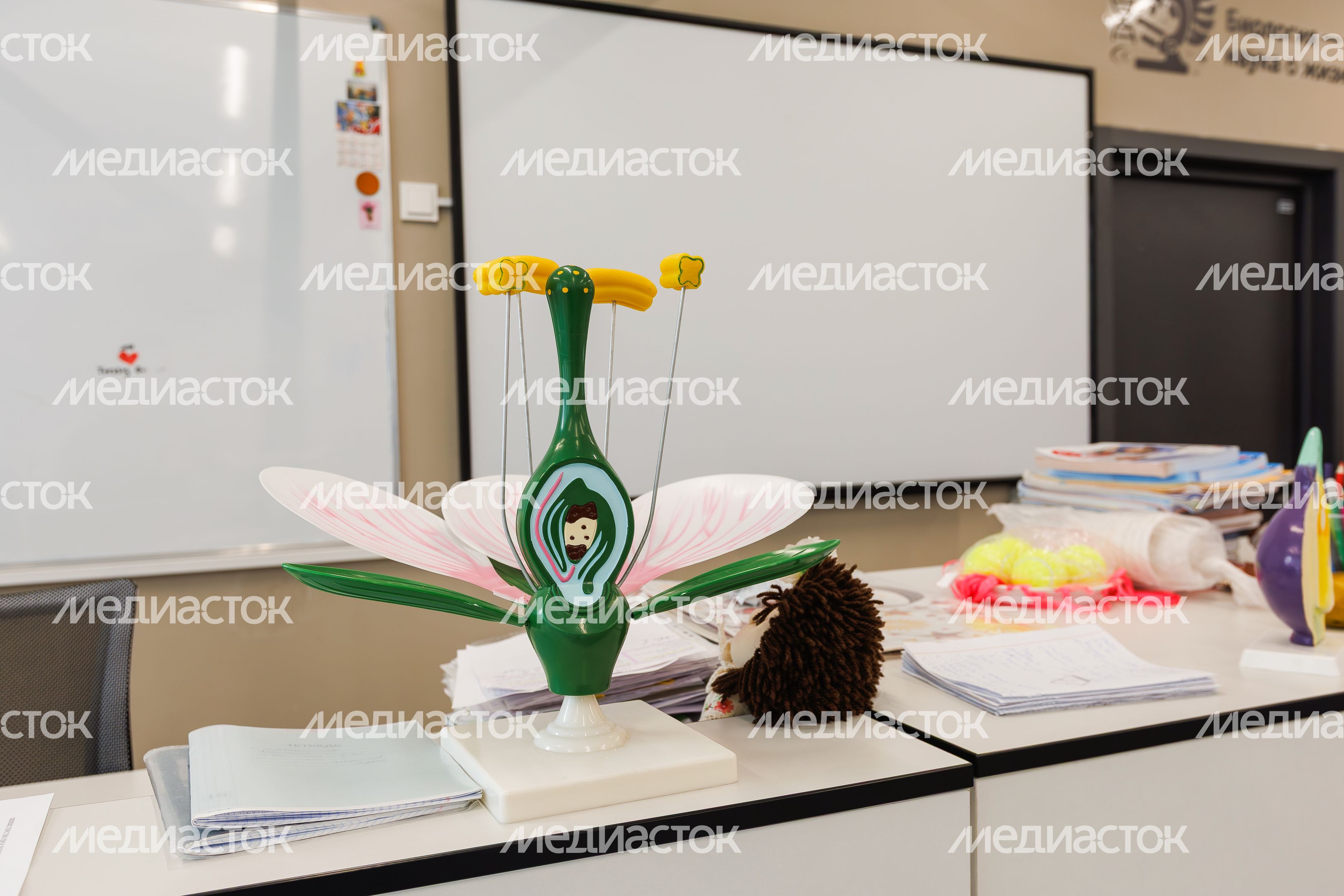 Кабинет биологии в Образовательном комплексе «Маяк» в деревне Ям округа Домодедово Кабинет биологии в Образовательном комплексе «Маяк» в деревне Ям округа Домодедово