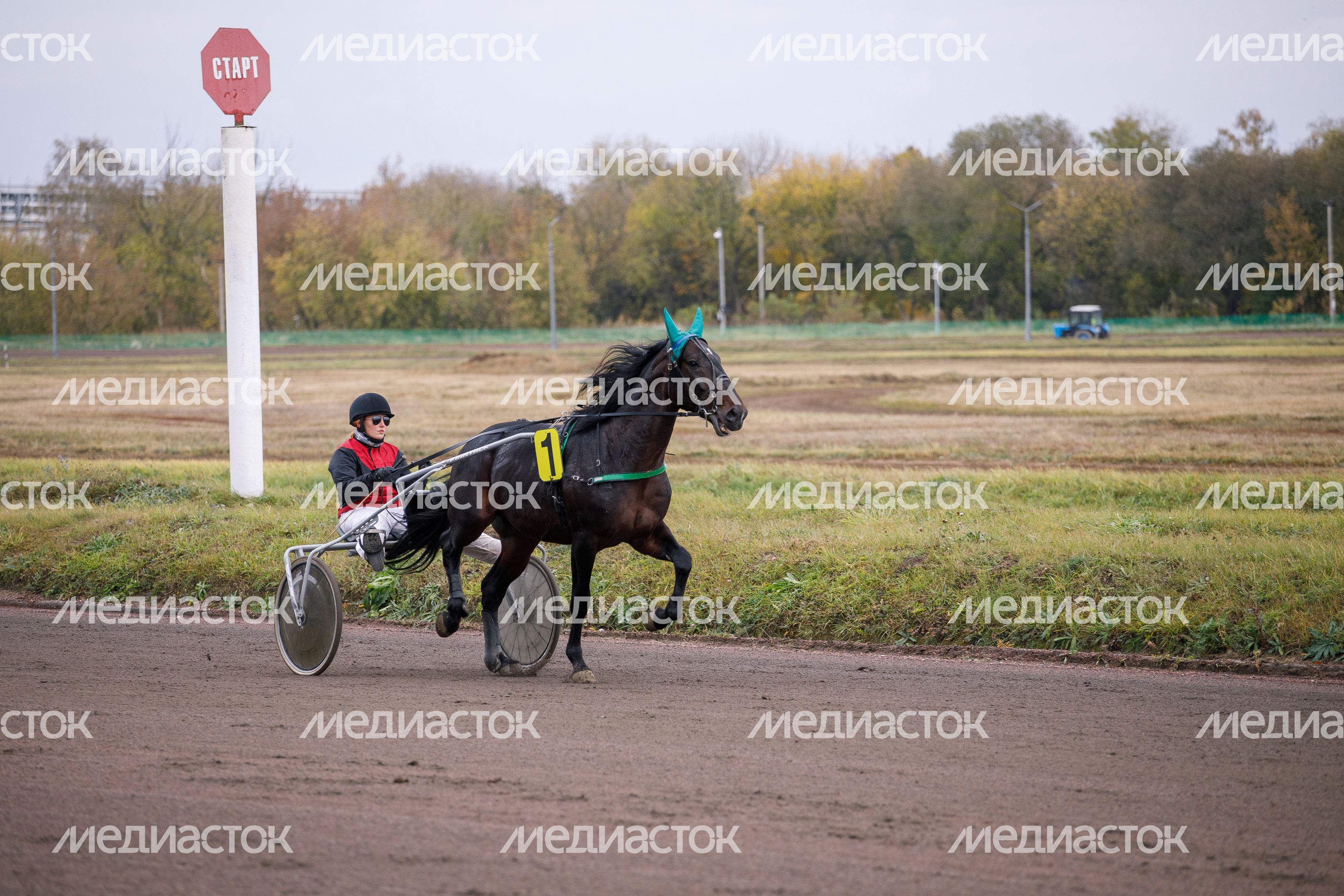 Раменское. Финал Чемпионата наездников Раменское. Финал Чемпионата наездников