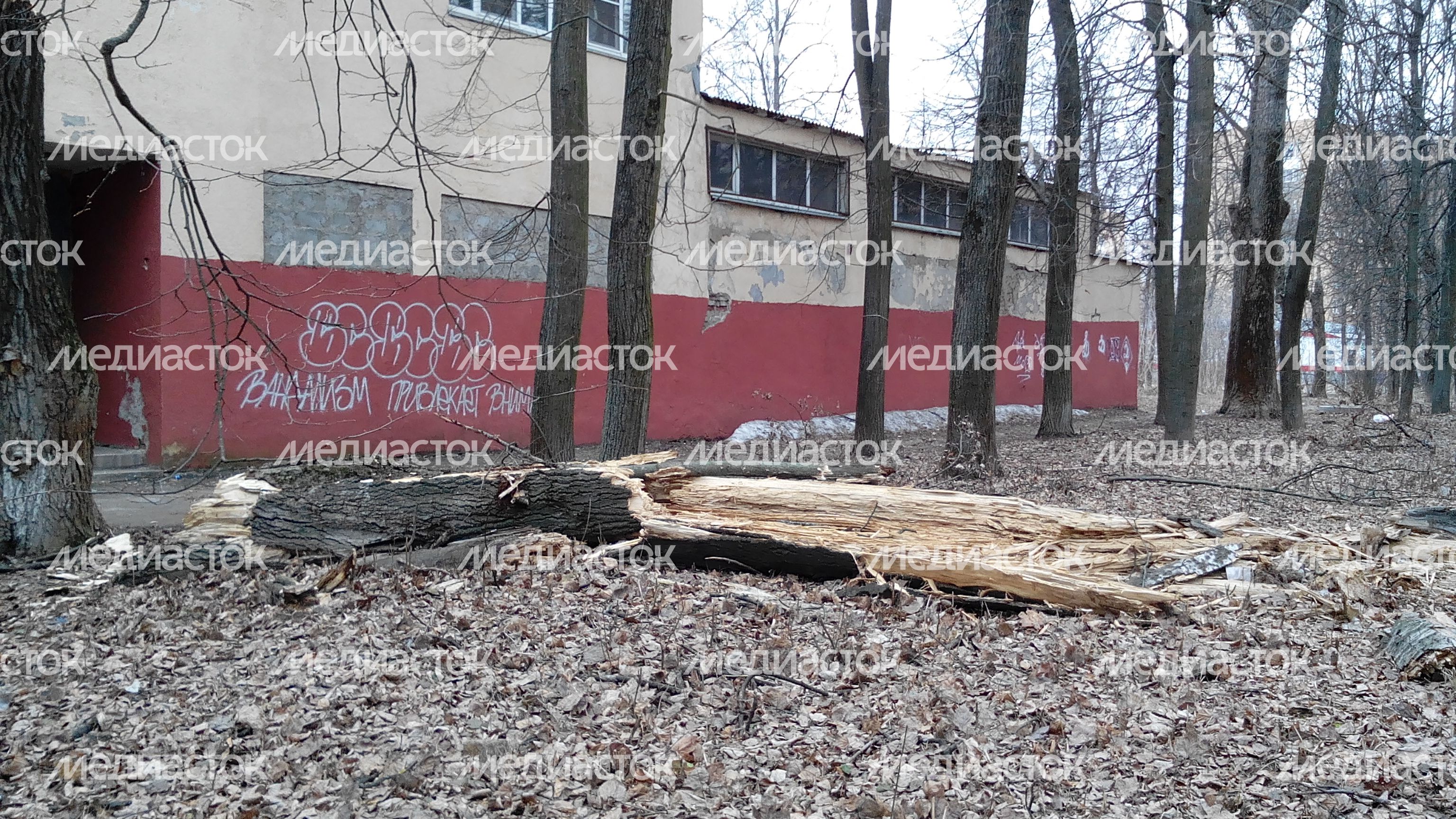 Последствия сильного ветра в Орехово-Зуево