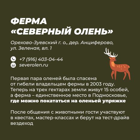 Фермы с животными