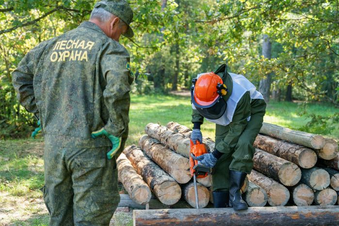 Областной смотр-конкурс на звание "Лесник года" 2024 в округе Воскресенск