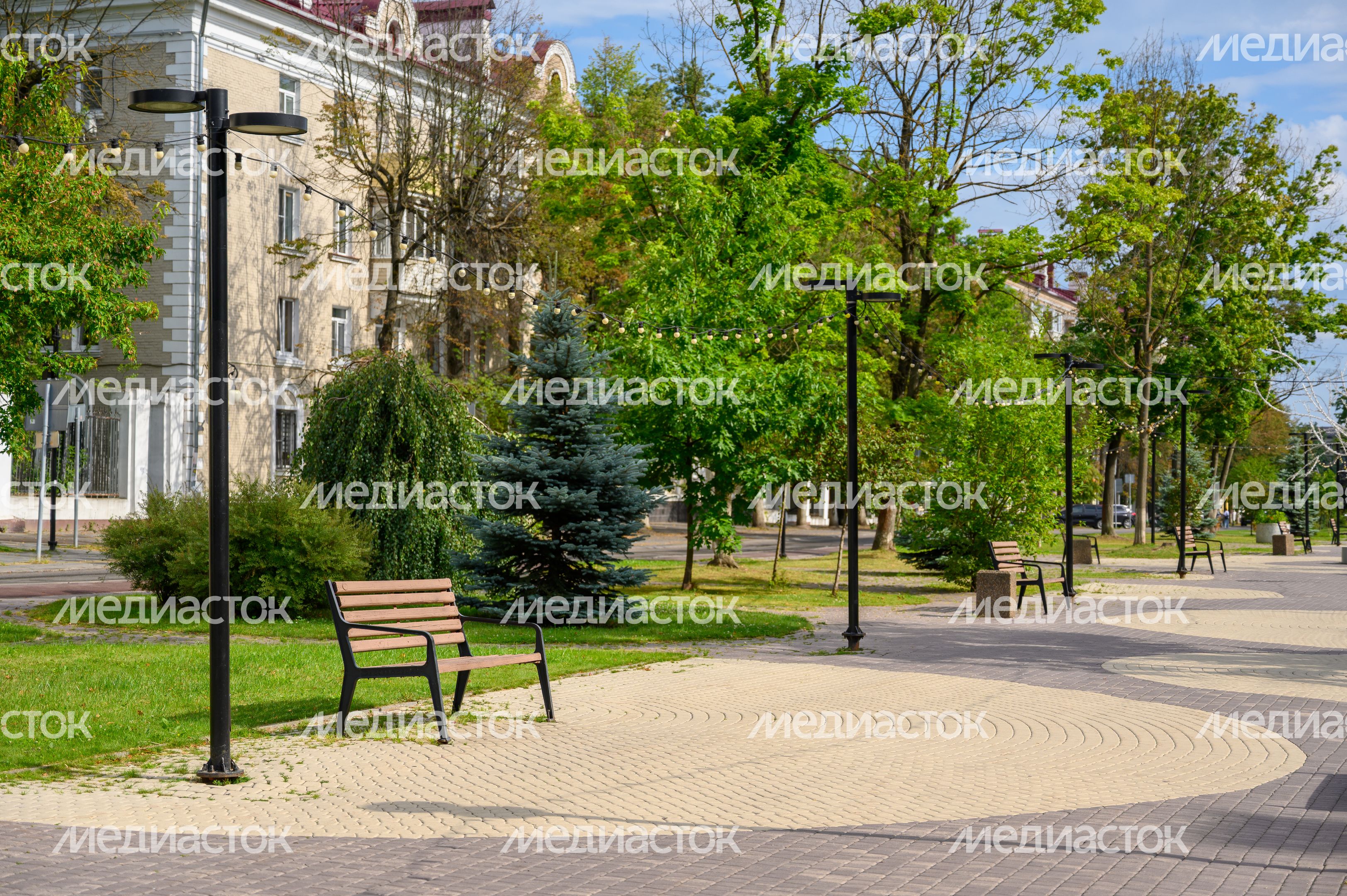 Центральная аллея на проспекте Ленина в Электростали после благоустройства