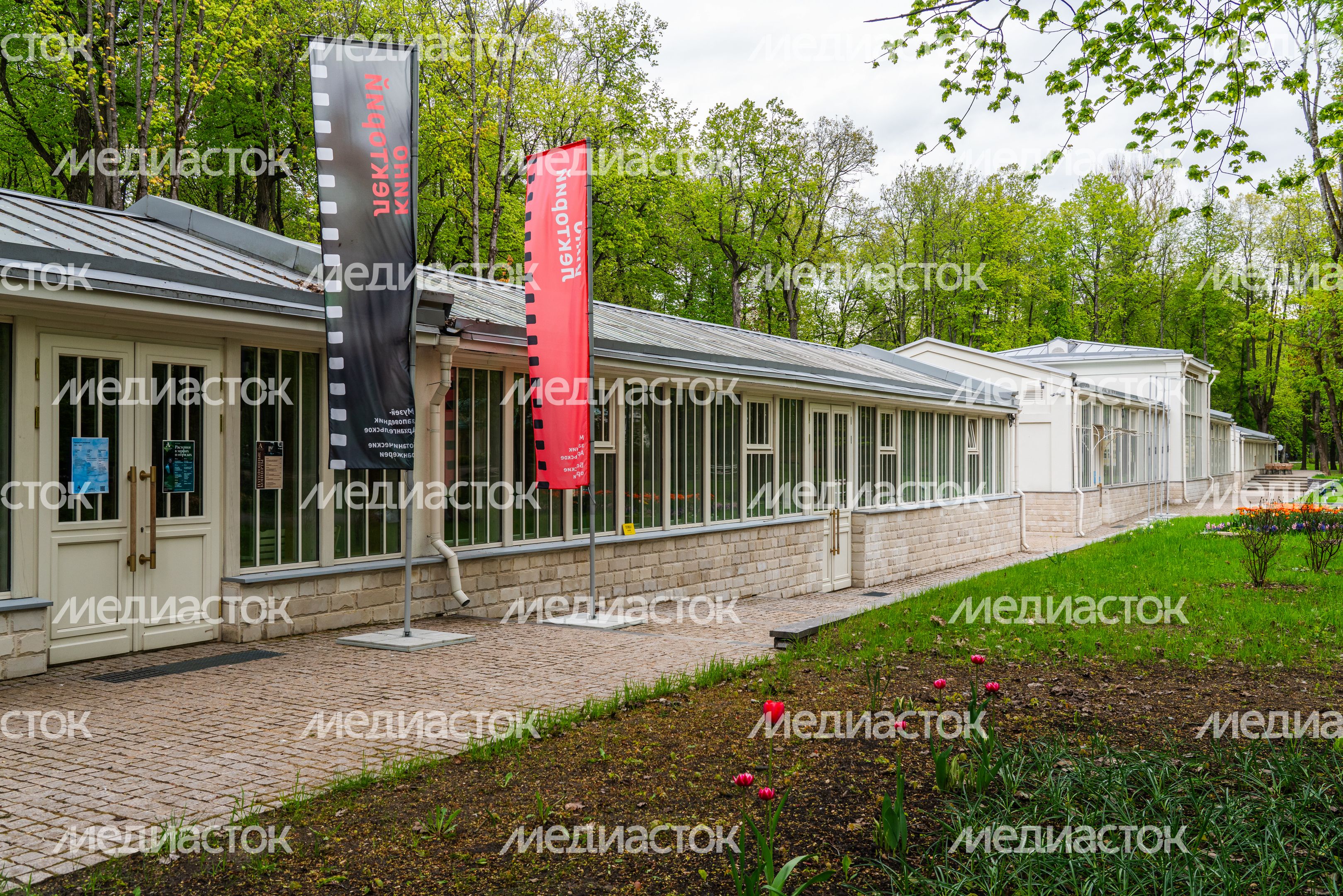 Ботаническая оранжерея в парке усадьбы Архангельское Ботаническая оранжерея в парке усадьбы Архангельское