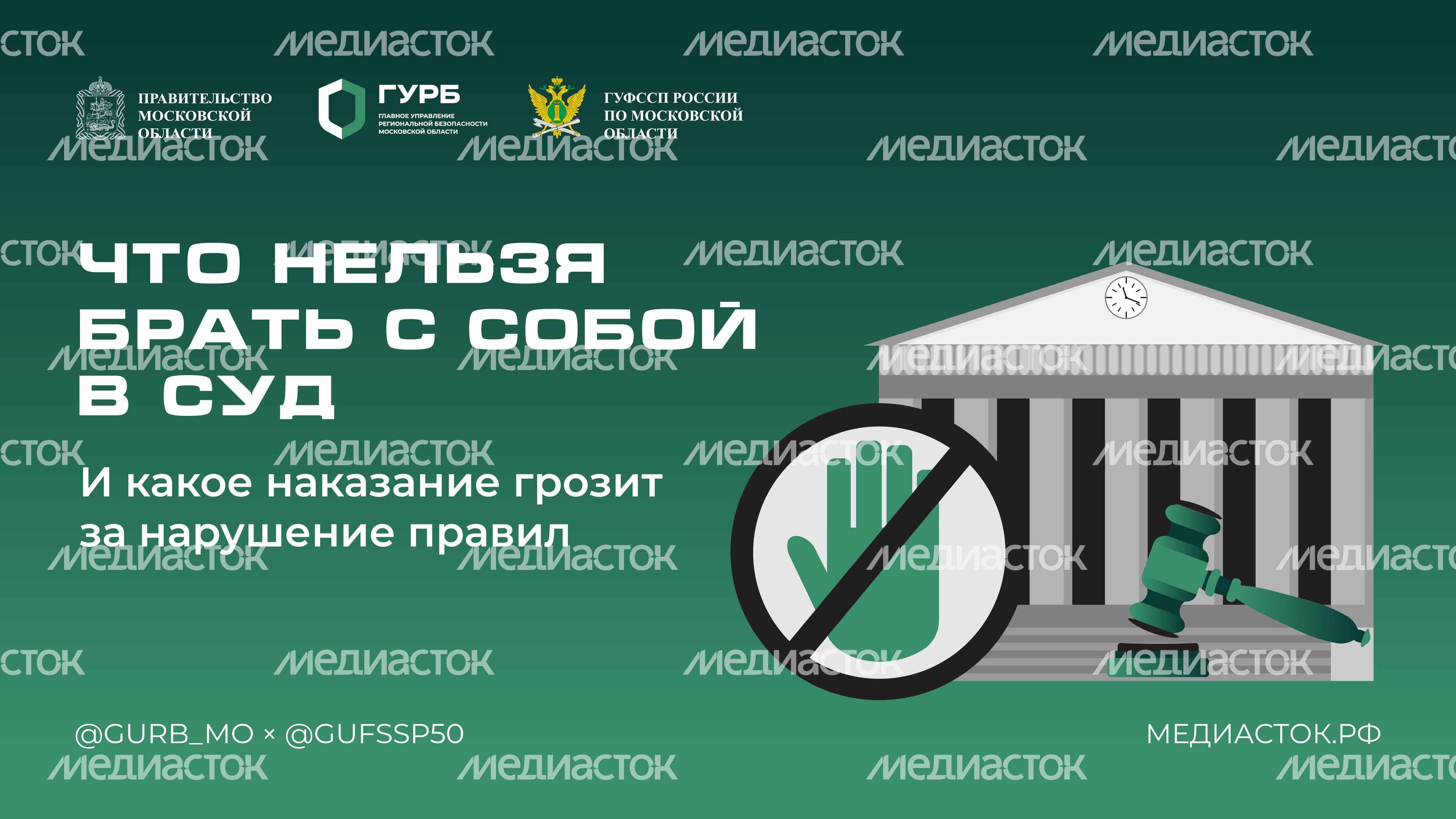 Что нельзя брать с собой в суд Горизонталь 01 С гербом МО Что нельзя брать с собой в суд Горизонталь 01 С гербом МО