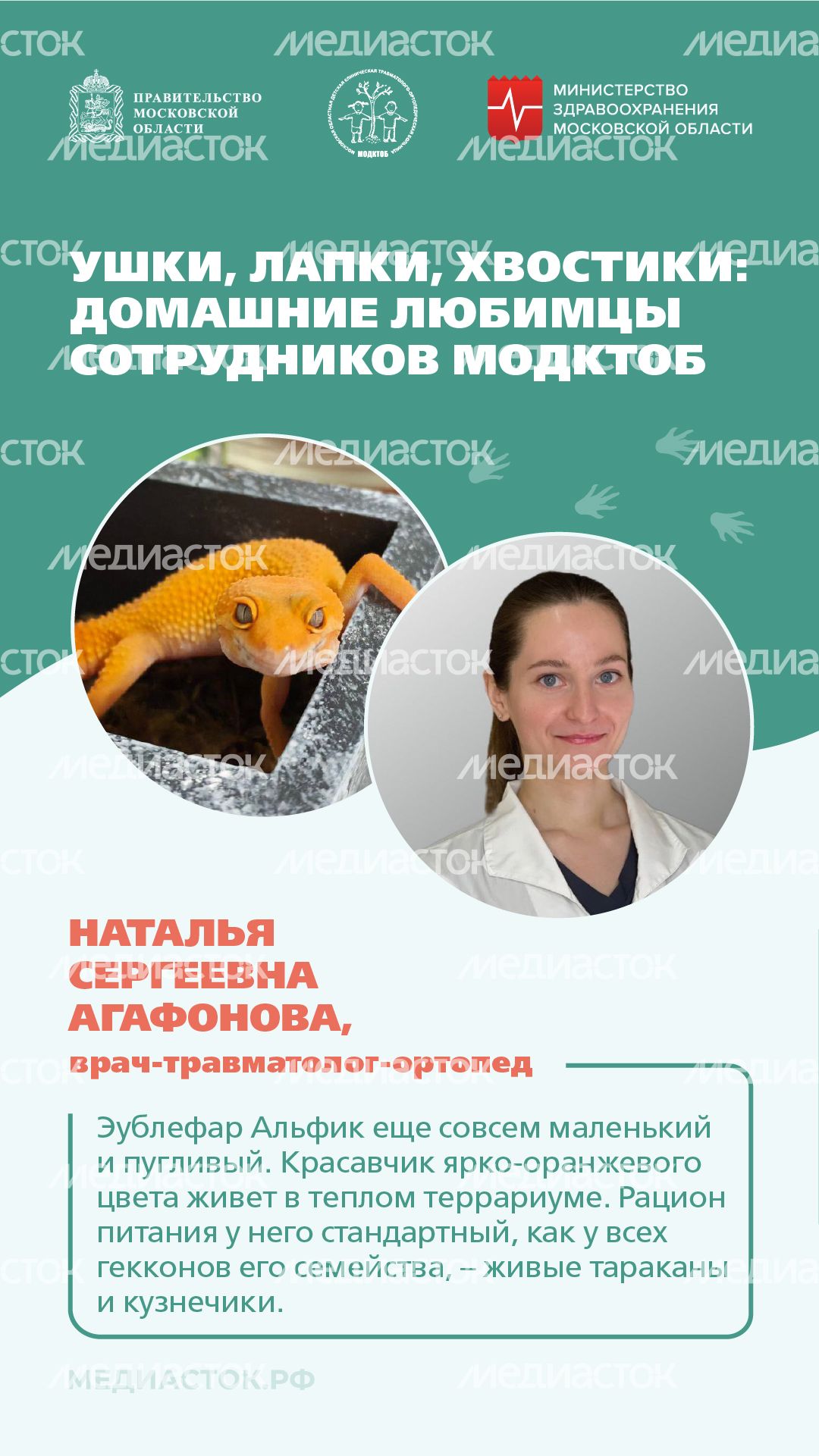 Ушки, лапки, хвостики вертикаль 05